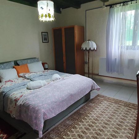 Etno Salas - Etno Ranch - Seosko Turisticko Domacinstvo Villa Palić Exteriör bild