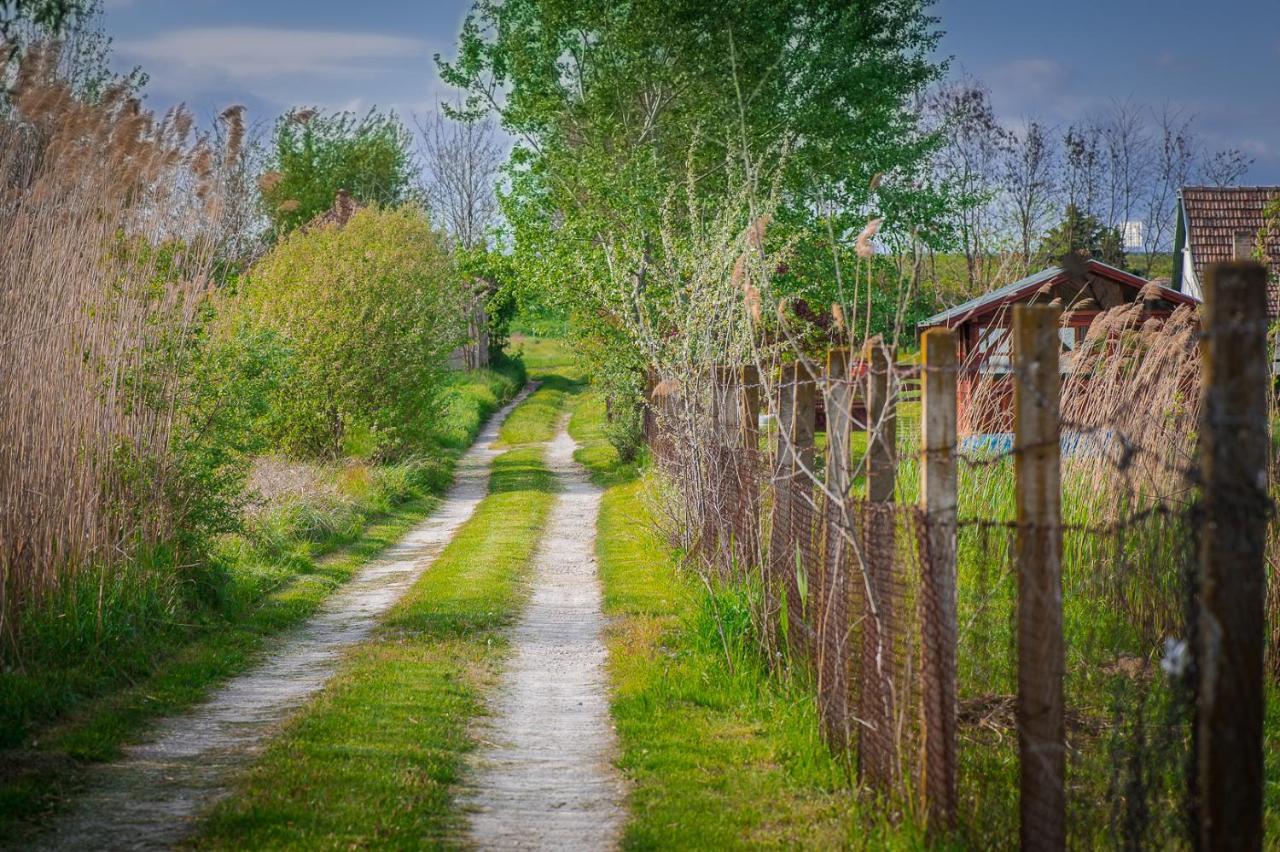 Etno Salas - Etno Ranch - Seosko Turisticko Domacinstvo Villa Palić Exteriör bild