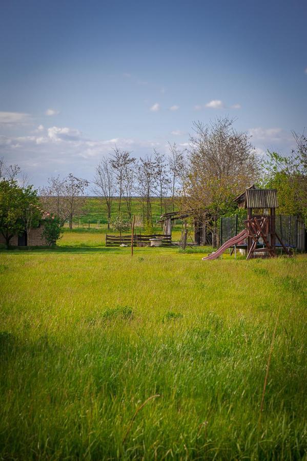 Etno Salas - Etno Ranch - Seosko Turisticko Domacinstvo Villa Palić Exteriör bild