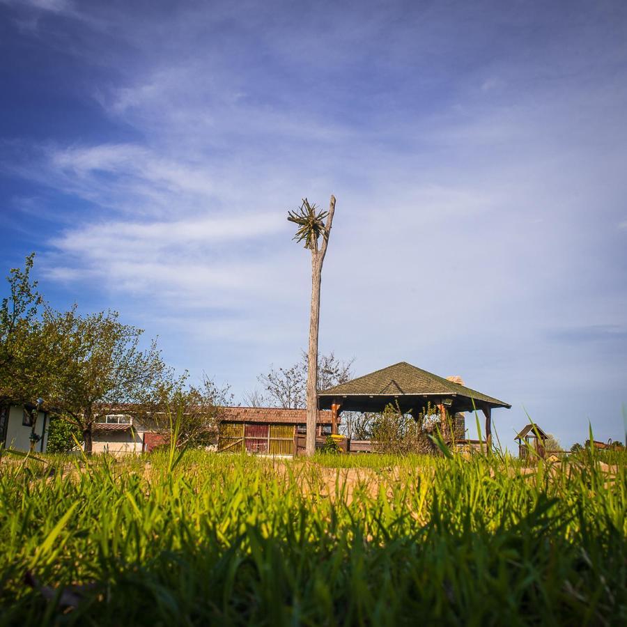 Etno Salas - Etno Ranch - Seosko Turisticko Domacinstvo Villa Palić Exteriör bild