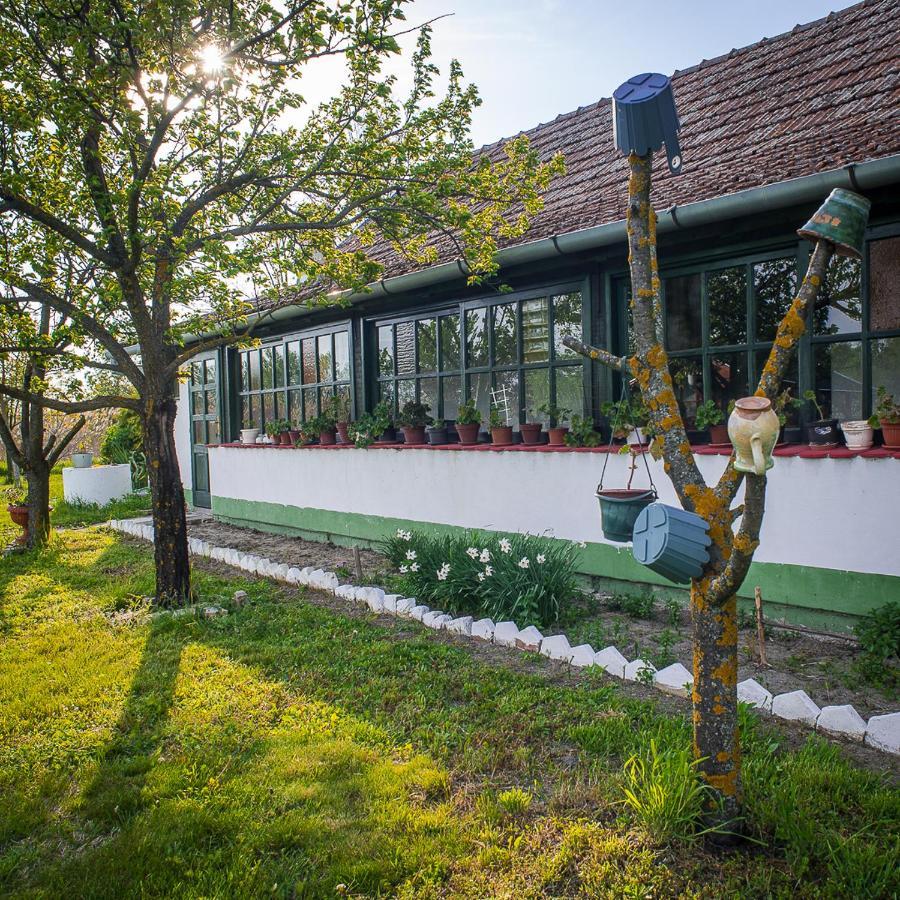Etno Salas - Etno Ranch - Seosko Turisticko Domacinstvo Villa Palić Exteriör bild