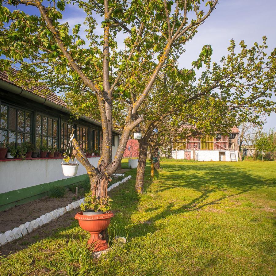 Etno Salas - Etno Ranch - Seosko Turisticko Domacinstvo Villa Palić Exteriör bild