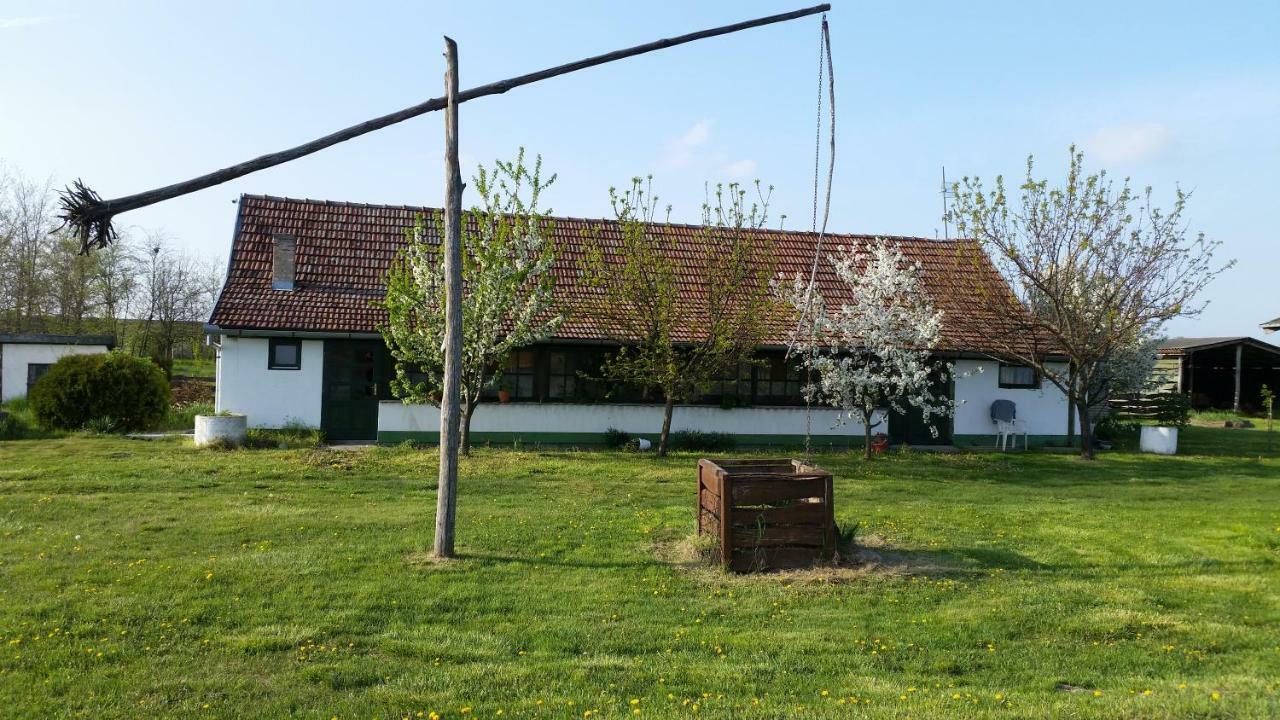 Etno Salas - Etno Ranch - Seosko Turisticko Domacinstvo Villa Palić Exteriör bild